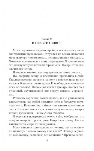Янтарь лорда демонов. Меченная тьмой фото книги 18