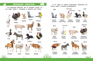 Умный дошкольник. 3-4 года фото книги 2