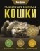 Главная книга владельца кошки фото книги маленькое 2