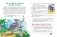 Сказки от страхов фото книги маленькое 3