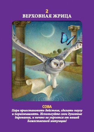 Таро животных. Инструкция + 78 карт фото книги 8