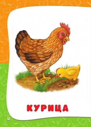 Годовой курс занятий: для детей от рождения до года (+ CD-ROM) фото книги 13