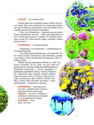 Едзем да бабулі ў вёску фото книги 5