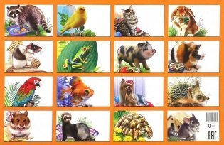 Обучающие карточки "Домашние любимцы" фото книги 6