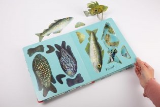 National Trust: Beneath the Waves фото книги 6