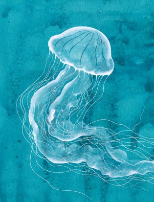 Остров мечты. Секрет стражей леса фото книги 13