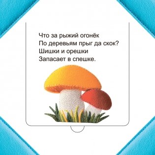Кто прячется в лесу? фото книги 2