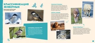 S.O.S. Красная книга фото книги 3