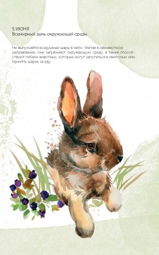 Спасем планету. Еженедельник для тех, кто заботится о природе (Лиса) фото книги 9