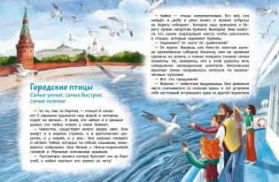 Птицы. Детская энциклопедия (Чевостик) фото книги 4