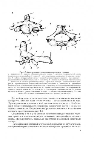 Рентгенометрия позвоночника фото книги 9