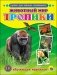 Обучающие карточки. Животный мир. Тропики фото книги маленькое 2