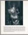 Дизайн фэнтези-персонажей: техники иллюстрации. Туториалы от азиатских художников фото книги маленькое 6