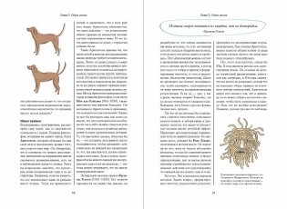 Что бы сказал Ницше. Как великие философы решили бы ваши проблемы фото книги 5