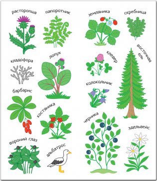 Раскрась Россию. Кавказ фото книги 3