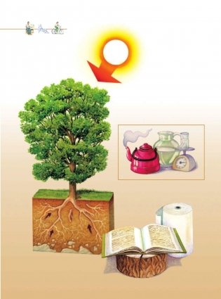 Что? Зачем? Почему? Большая книга вопросов и ответов фото книги 7