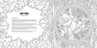 Baby animals: a smithsonian coloring book фото книги 2