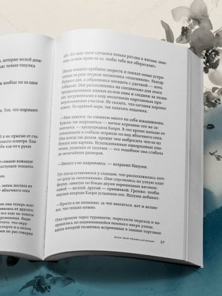 Если твоя память исчезнет фото книги 8