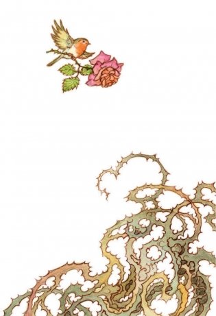 Таинственный сад фото книги 2