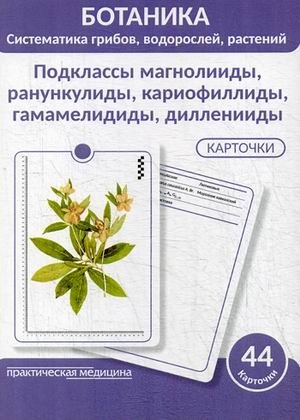 Ботаника. Систематика грибов, водорослей, растений. Блок 2: Подклассы магнолииды, ранункулиды, кариофиллиды, гамамелидиды, дилленииды. 44 гербарных карточек фото книги