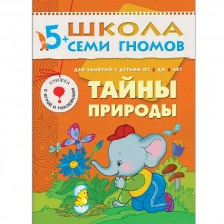 Полный годовой курс занятий с детьми 5-6 лет (12 книг в подарочной упаковке) фото книги 11