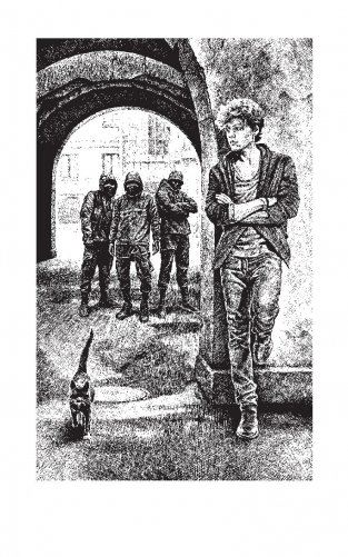 Аномальный наследник. Турнир лицея фото книги 3