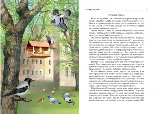 Птицы. Школьный путеводитель фото книги 2