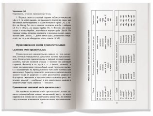 Русский язык. Орфография. Пунктуация фото книги 4
