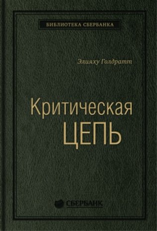 Критическая цепь фото книги