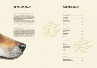 Лесные животные в натуральную величину фото книги 2