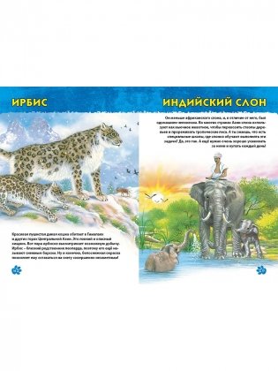 Животные мира. Первая энциклопедия дошкольника фото книги 9