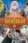 Кошки фото книги маленькое 2