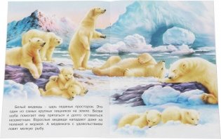 На полюсе фото книги 2