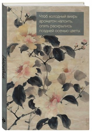 Комплект Чарующая Япония фото книги 4