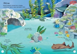 Океанариум фото книги 2