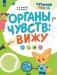 Органы чувств: вижу фото книги маленькое 2