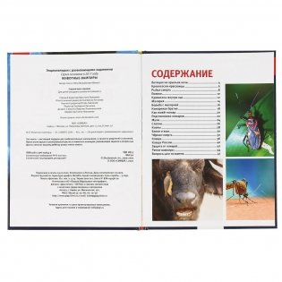 Животные-вампиры фото книги 2