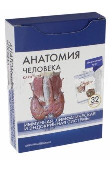Анатомия человека. Иммунная, лимфатическая и эндокринная системы (32 карточки) фото книги