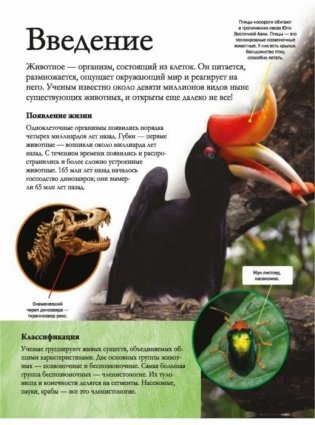 Животные фото книги 2