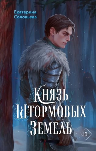 Князь Штормовых Земель фото книги