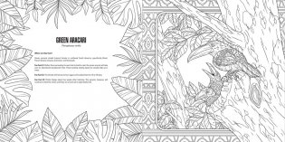 Baby animals: a smithsonian coloring book фото книги 8