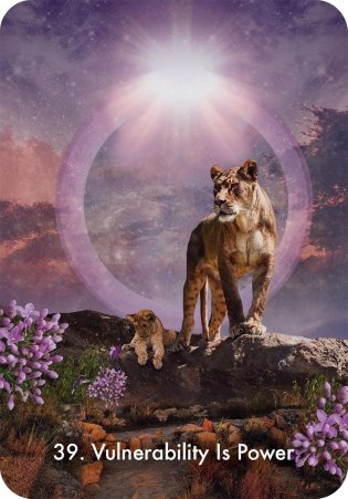 Intuitive Whispers Oracle: A 44-Card Deck and Guidebook фото книги 8