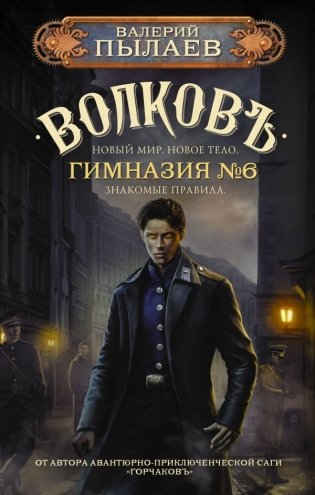 Волков. Гимназия №6 фото книги