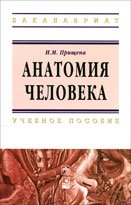 Анатомия человека. Учебное пособие фото книги