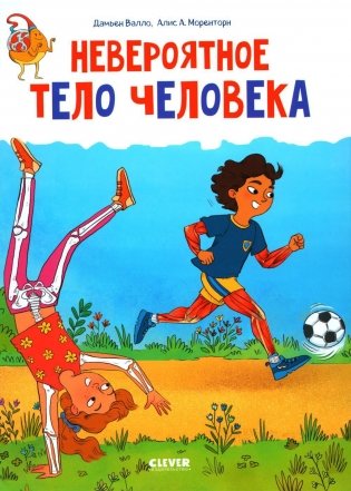 Невероятное тело человека фото книги