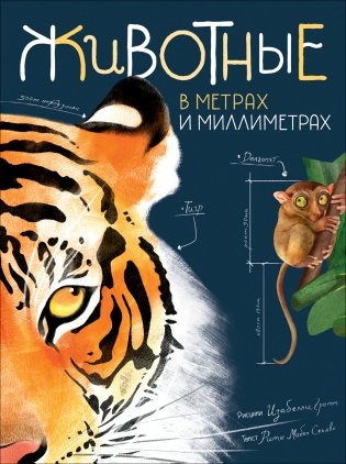 Животные в метрах и миллиметрах фото книги