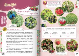 Ласункі агарода, саду, лесу. Узбагачаем слоўнікавы запас, выконваем заданні, пашыраем кругагляд (6-10 гадоў) фото книги 6