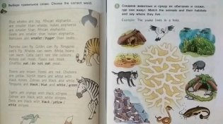 Английский язык. Развивающие задания, стихи и песни для начальной школы. QR-код для аудио. ФГОС фото книги 3