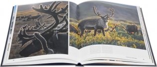 Всемирное наследие России. Книга 2. Природа. Фотоальбом фото книги 2