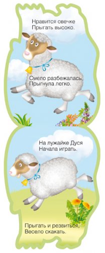 Овечка фото книги 3